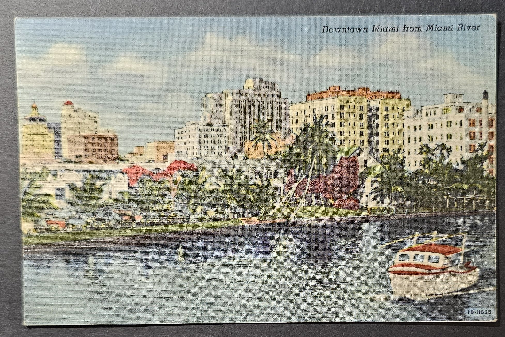 postcard USA - FL - Florida #0073 (image for) postcard USA - FL - Florida #0073